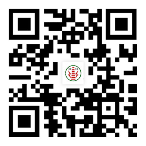 http://www.zycpz.cn專(zhuān)業(yè)承接煙囪拆除,人工拆除煙囪專(zhuān)業(yè)公司等各類(lèi)高空工程。